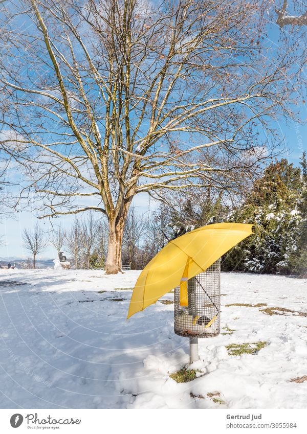 Yellow umbrella in a garbage basket in winter landscape Landscape Snow Winter Tree Cold Ice Frost Nature White Exterior shot Deserted Colour photo Sky Sun