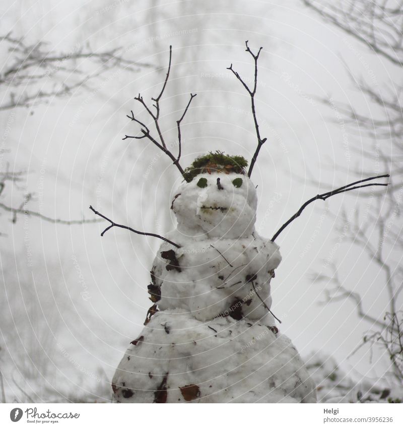 Snowman standing in foggy winter forest Winter Fog Cold White Exterior shot Joy Seasons Nature Frost Infancy Twig Forest January winter weather chill Black