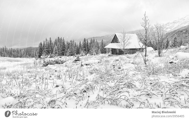 Gasienicowa Valley with wooden hut during snowy winter, Tatra Mountains, Poland. mountain landscape white black snowfall valley beautiful scenic