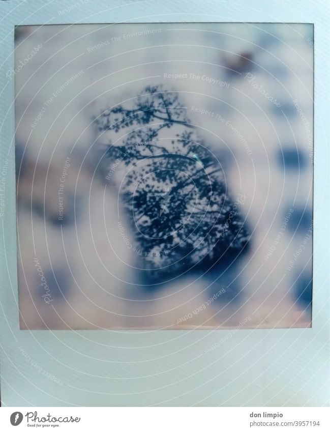 instant, polaroid, smartphone, reflection, autumn, tablecloth Corners Table Close-up