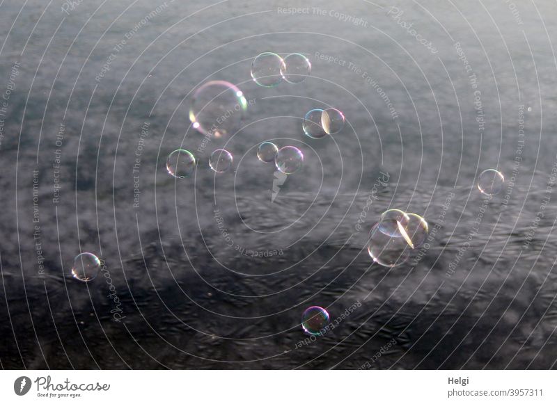 Lightness - soap bubbles floating over a frozen pond chill Pond Frozen Frost Ice Hover Ease Many Dazzling Winter Cold Nature Exterior shot Freeze Deserted Joy