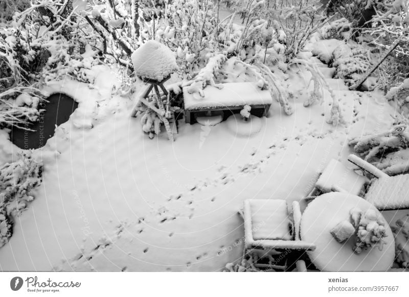 The cat came to visit the garden: black and white shot of a terrace from above in winter with a small pond, bird house, bench, chairs, table and animal tracks in the snow