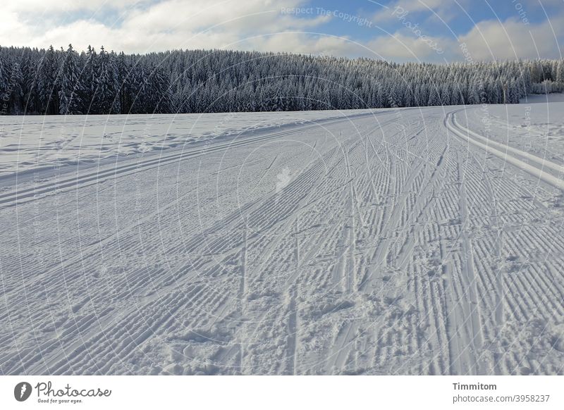 Winter joys - cross-country ski trail Cold Snow Black Forest cross-country skiing Cross-country ski trail Sky Blue Clouds Landscape Nature White Deserted trees