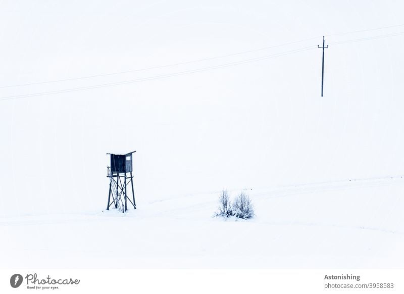 Power pole and high stand in the snow high level Electricity pylon Snow Winter White bush shrub Nature Landscape Line Cable power cable trace Exterior shot