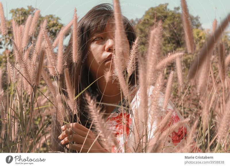 Beautiful Asian girl among the meadow of fountain grasses asian woman conceptual natural emotion tranquility calm bliss sunny sensuality harmony back to nature