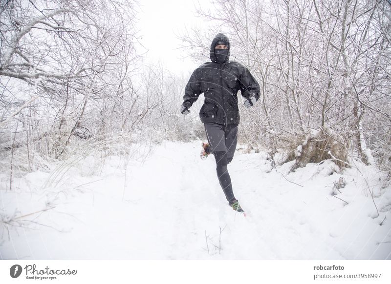 man running with dog in snowy landscape cold winter walk people season jogger park young woman person frozen beautiful travel winter landscape jogging sport