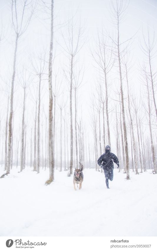 man running with dog in snowy landscape cold winter walk people season jogger park young woman person frozen beautiful travel winter landscape jogging sport