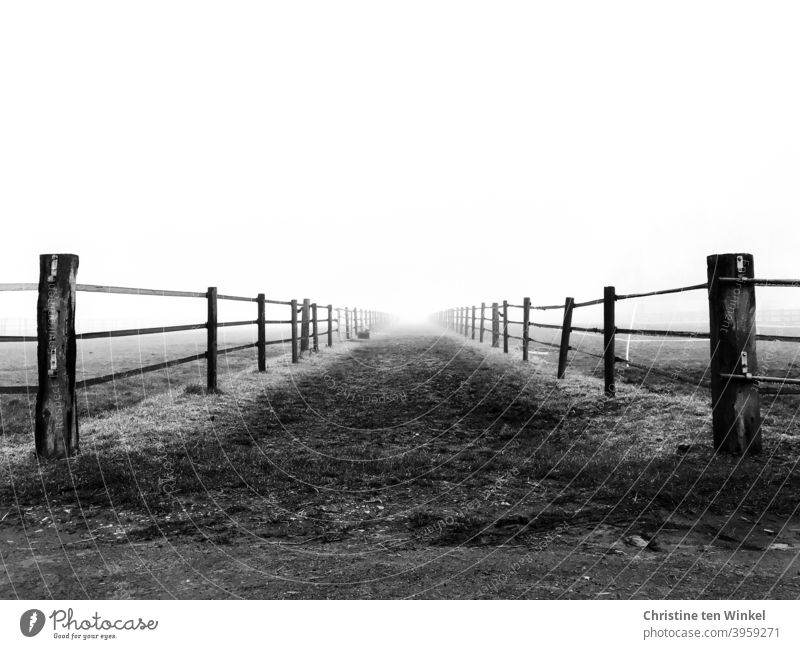 The dirt road between the fences leads into the brightness off the beaten track Fences Black & white photo Ambiguous Lanes & trails aims Exterior shot Deserted