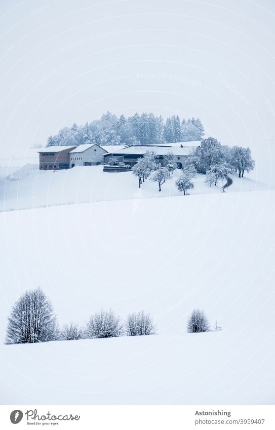 Snowed in farm on a hill Farm Winter Hill winter landscape Nature Landscape House (Residential Structure) Agriculture White Bright Cold chill SnowValley