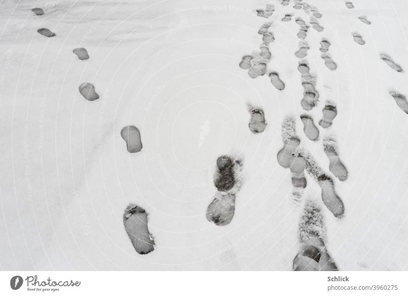 Footprints in the snow - a Royalty Free Stock Photo from Photocase