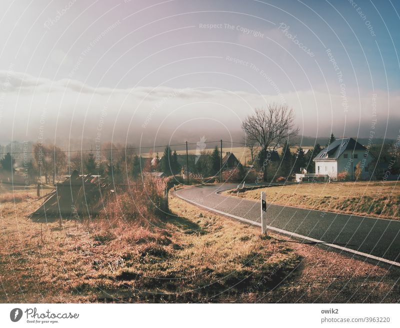 Delany Village houses Nature Idyll Landscape Grass Tree Curve Street Far-off places Target Contemplative Colour photo Lausitz forest Asphalt Deserted