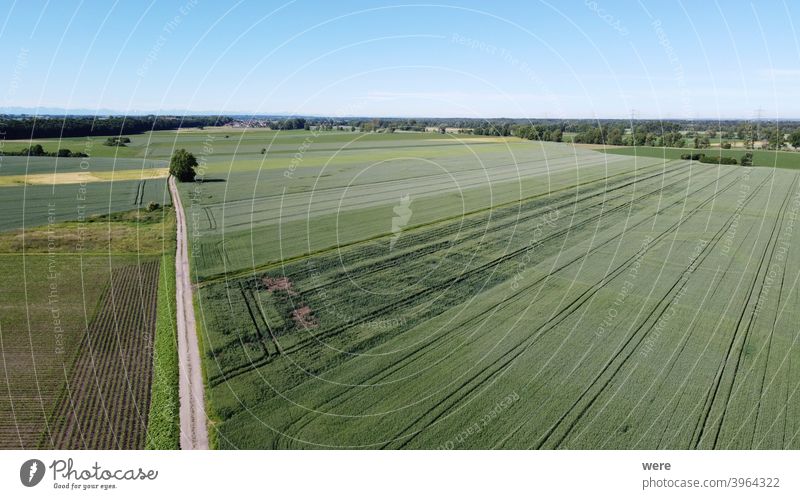 View from the air over agricultural land towards the Alps Area flight aerial view agricultural area agricultural fields alps bird's eye view copy space