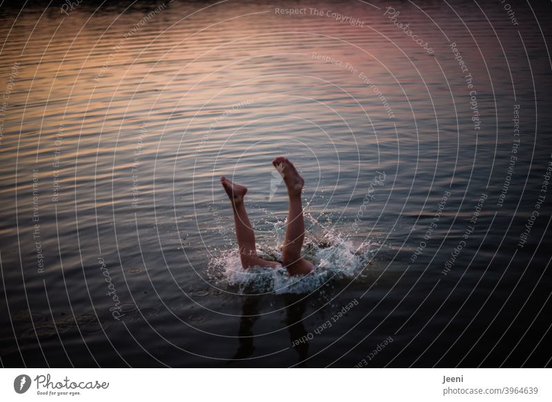 A jump headfirst into the lake | the legs are still visible before the body disappears into the water | It is summer and the last rays of the evening sun are shining over the water