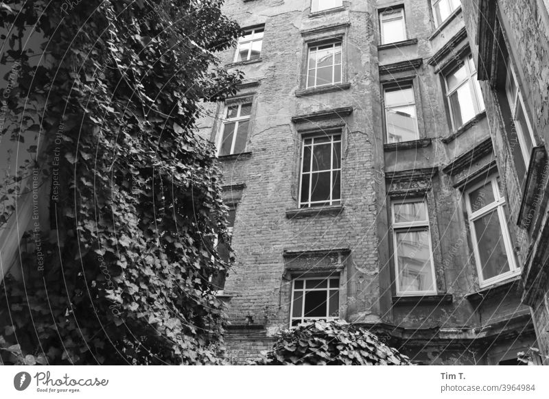 Backyard Prenzlauer Berg Berlin House (Residential Structure) Window Facade Town Deserted Downtown Old building Old town Capital city Day Manmade structures