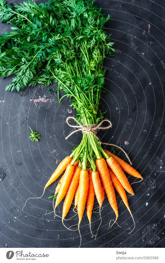 A bunch of carrots on a black background green stuff Federation 19 Orange Vegetable carotene Vegetarian diet Organic produce Food Colour photo Healthy Fresh