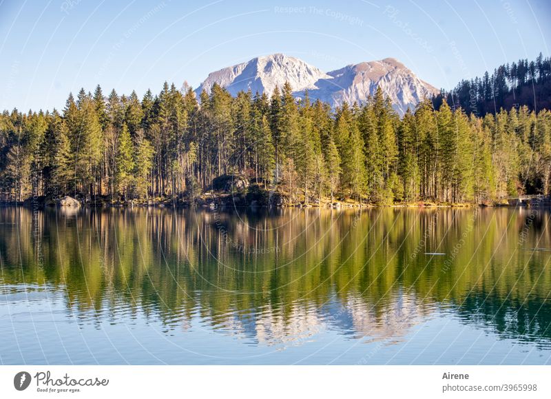 because the world is so beautiful... Lake Idyll Reflection Landscape Blue Green Forest Mountain Alps Sunlight Water reflection Surface of water Mountain lake