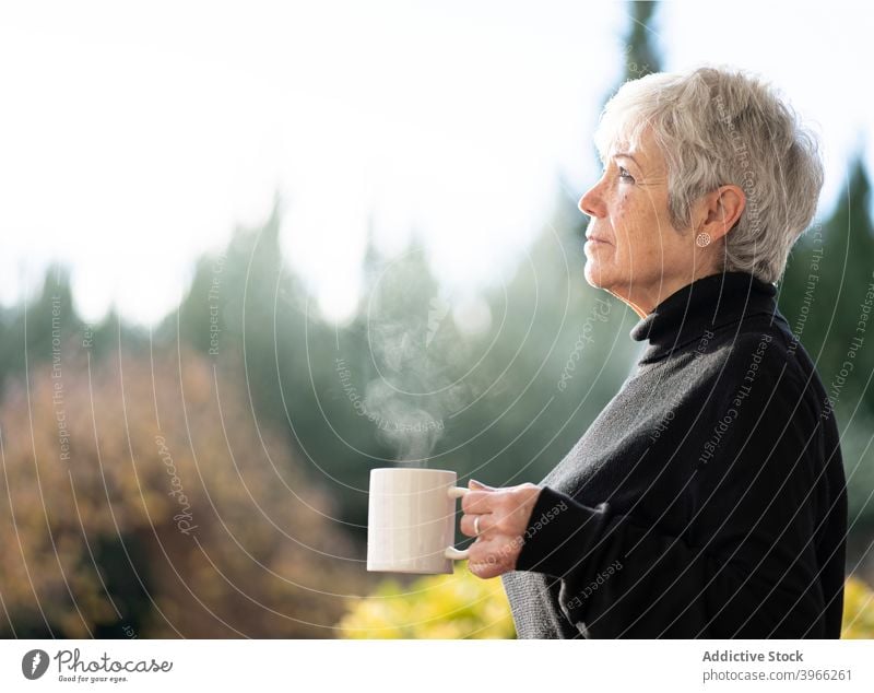Senior woman having a cup of coffee near home window senior caucasian elderly european lifestyle portrait people relaxing retired serene white hair grandmother