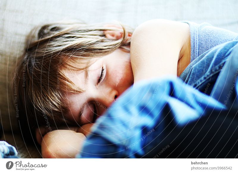 tired Dream Family & Relations Colour photo Boy (child) Infancy Face Day Light Contrast portrait Close-up Child Sunlight Contentment Son Sleep rest recover