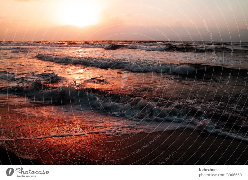 when the day begins Water To enjoy Beautiful weather Waves tortuguero Costa Rica Kitsch pretty Exterior shot Colour photo Sunlight Back-light Sunset Twilight