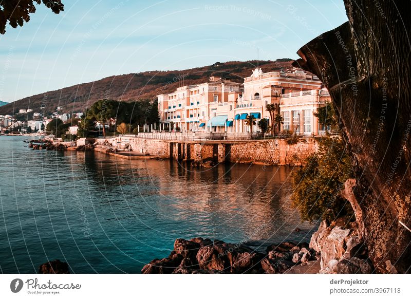 Villas on the rocky coast of Opatija relaxation Esthetic Adriatic Sea Island Deep depth of field Colour photo Exterior shot Vacation destination Old town