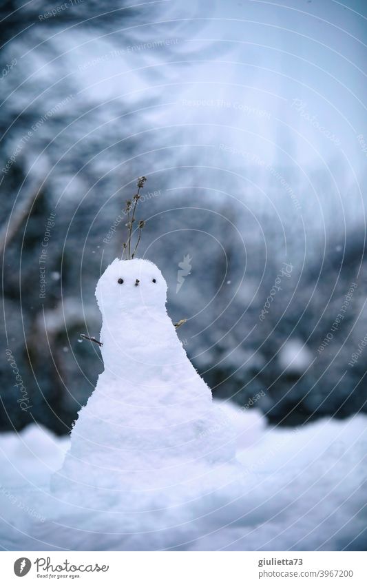 Small miniature snowman at the beginning of the blue hour Snowman Winter White winter weather Winter mood Winter's day wintertime Cold Outdoors Playing