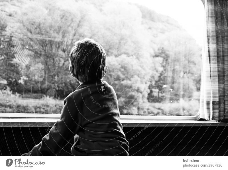 mama, guess what... | corona thougths Quarantine coronavirus Childlike Future Window Hope Contentment Longing Wanderlust portrait Infancy Boy (child) Family