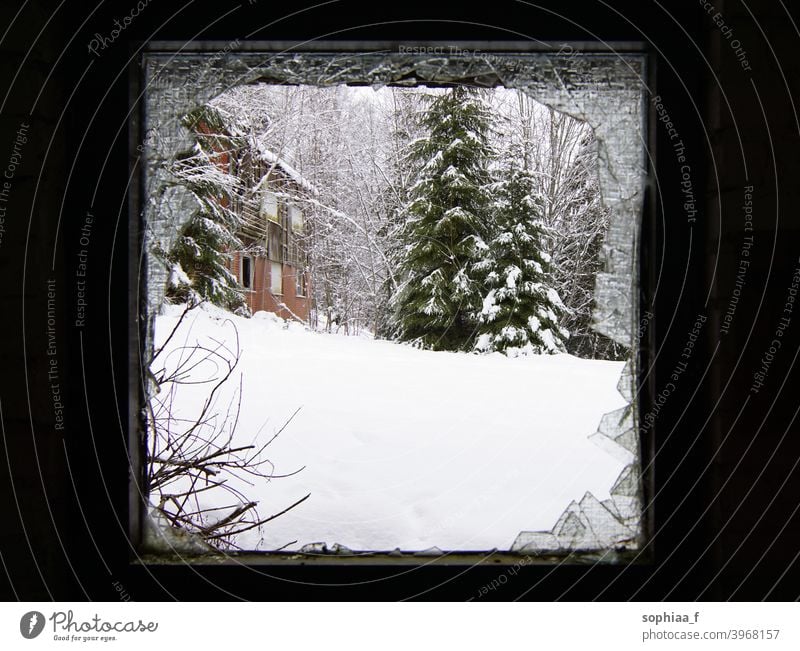 It's cold outside - Winter scenery through a broken window snow winter decay fir tree frame season abandoned trees view glass snowfall lost snowy day