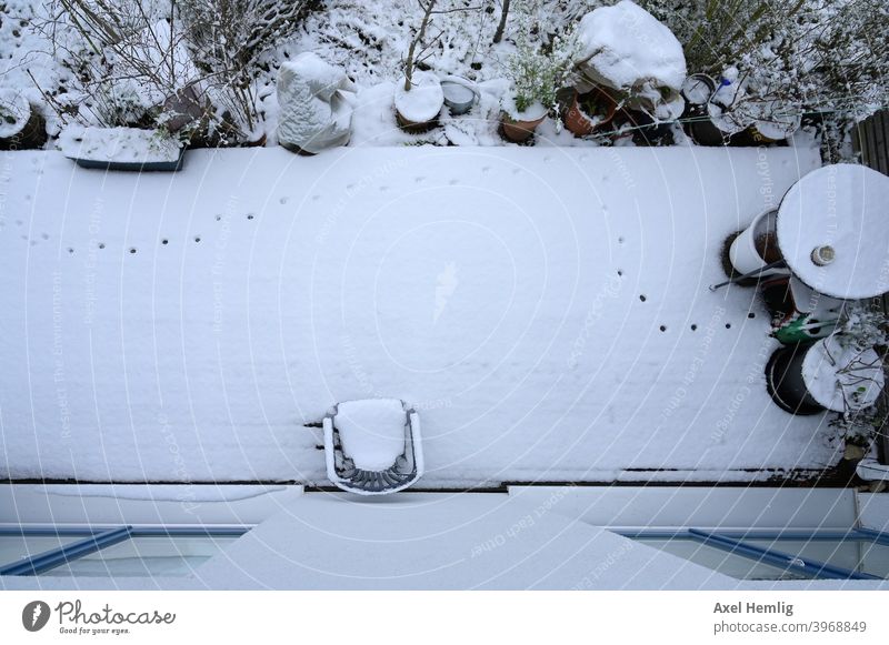 During the night a cat explored the terrace in the fresh snow and left traces. Cat Snow Terrace Garden Winter wood preservation tracks in the snow Prints