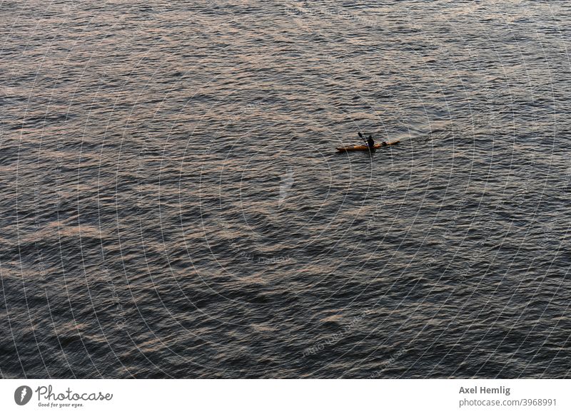 A kayaker strolls in the evening light through the Hamburg harbour under the New Philharmonic Hall. Aquatics Water Canoe Colour photo Adventure Nature