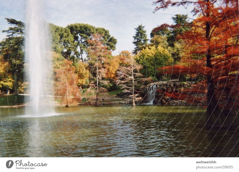 Retiro Park Madrid Autumn Lake Mountain