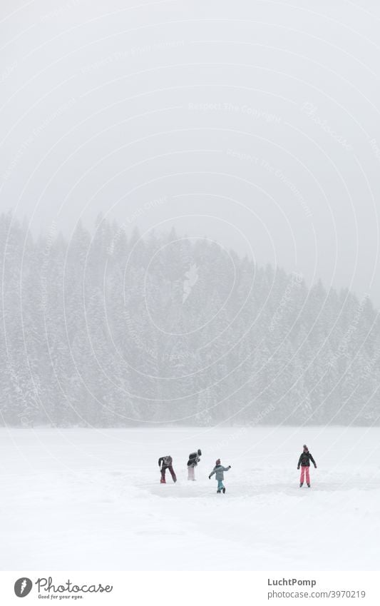 Four children skate on frozen lake Snow snowy Spruce forest Forest fir forest snow-covered trees snowed in hike silent Peaceful peaceful nature