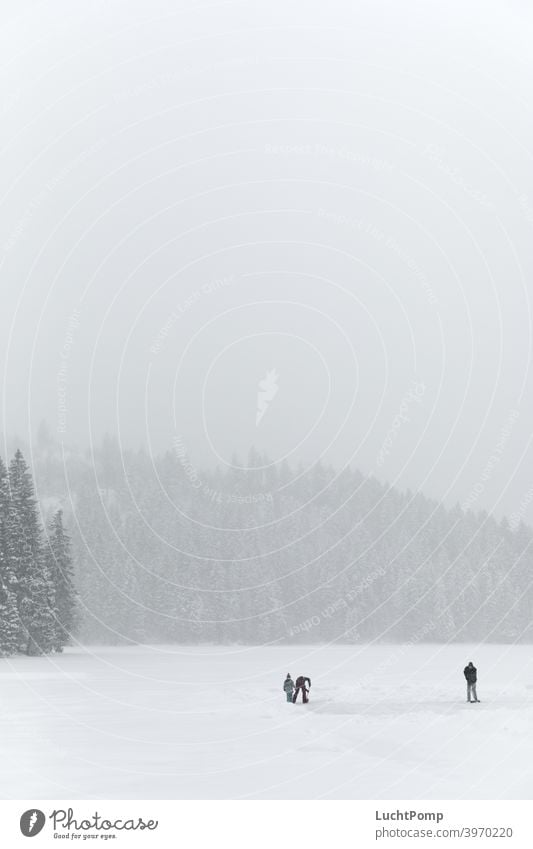 Three people shovel snow on frozen lake Snow snowy Spruce forest Forest fir forest snow-covered trees snowed in hike silent Peaceful peaceful nature