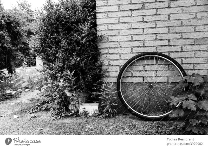 Black and white photo of bike wheel leaning against a brick wall Bicycle Black & white photo Brick wall rim Wheel Minimalistic Bushes bricks