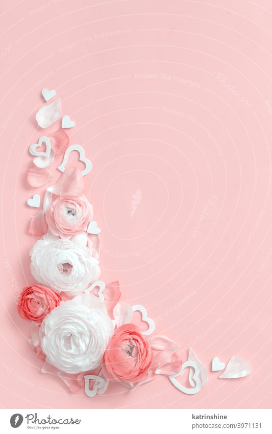 Angle frame made of ranunculus flowers and hearts on a light pink background valentine red roses gift top view pastel monochrome flat lay composition spring