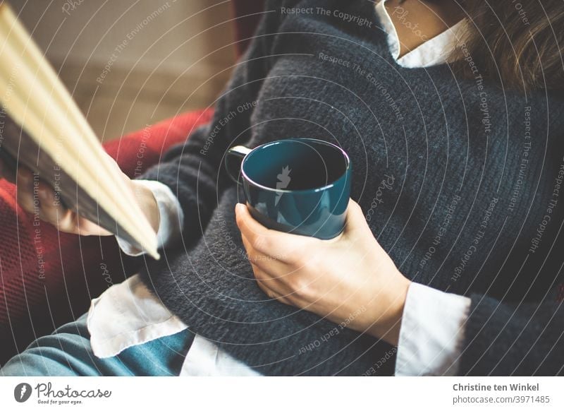 The young woman in the blue sweater sits comfortably in the armchair and holds a coffee mug and a book in her hands. Upper body portrait without head Coffee mug
