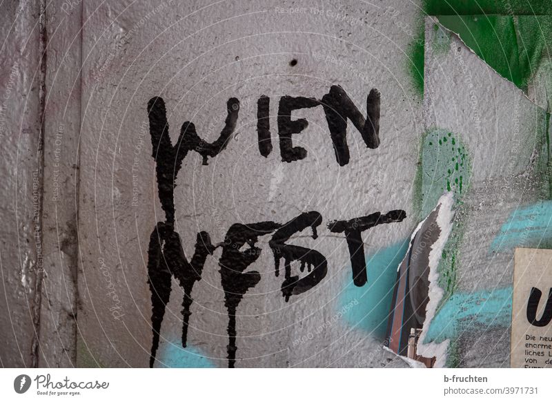 Graffiti on wall, "Wien West" lettering Vienna Wall (barrier) Wall (building) Facade Characters Sign Gray Letters (alphabet) Street art Youth culture