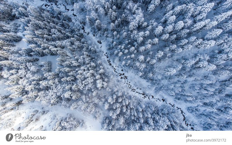 Bird's eye view of a wintry mountain stream II Bird's-eye view Diagonal DJI drone Brook Mountain stream Body of water Winter winter Cold freezing cold Tree tops