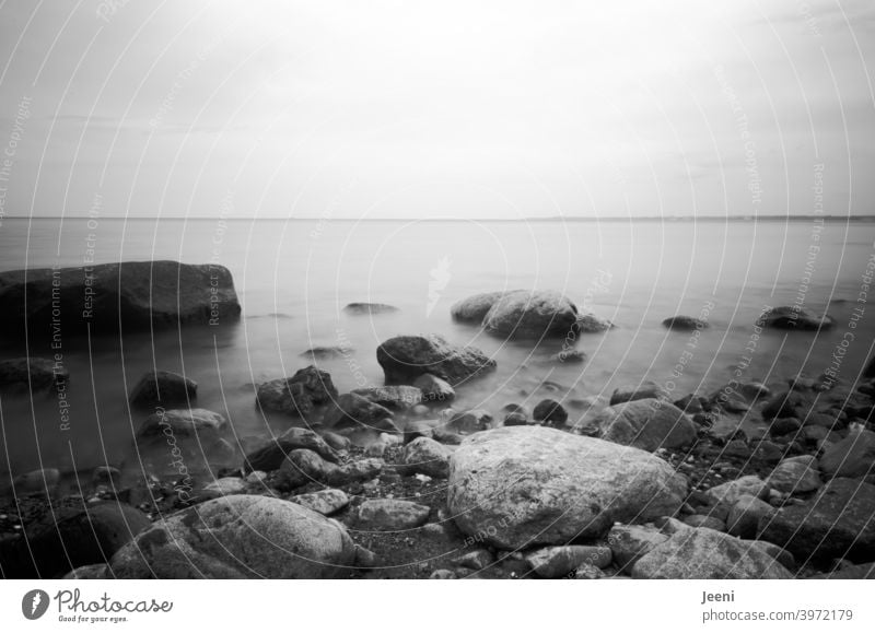 Stones in the sea | gentle rushing of the Baltic Sea by long time exposure Ocean Baltic coast stones Water Beach Fog Rock dream bank vacation mysterious Mystic