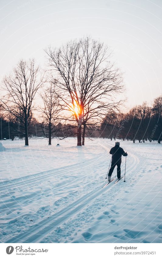 Cross-country skiing in Berlin in the Britzer Garten Experiencing nature Vacation & Travel Joie de vivre (Vitality) Landscape Tourism Light Contrast Shadow