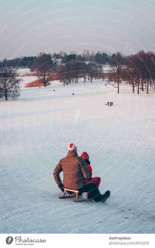 Sledding in Berlin in the Britzer Garten Experiencing nature Vacation & Travel Joie de vivre (Vitality) Landscape Tourism Light Contrast Shadow Sunbeam