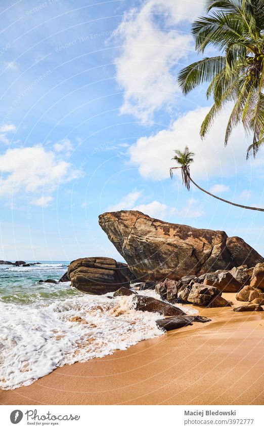 Tropical beach with rocks and coconut palm trees on a sunny summer day. nature tropical paradise peaceful water beautiful sea island exotic landscape sand