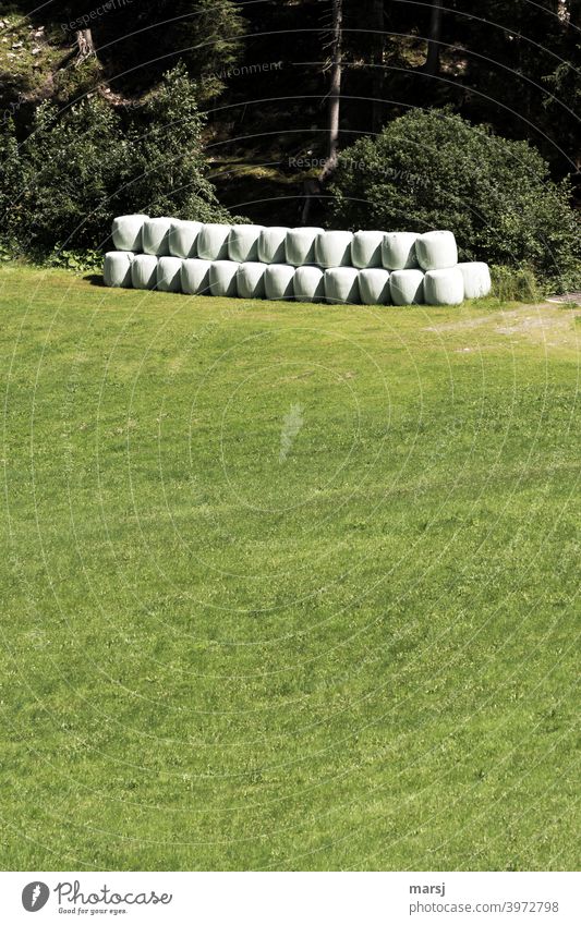 Stockpiling, neatly stacked silo bales on a green meadow at the edge of the forest Silo Stability Silage film Trash Recycling Plastic plastic Packing film