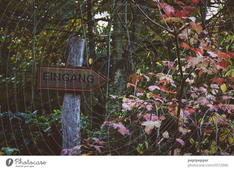 Sign Entrance in a forest Signs and labeling sign Sign forest Forest Edge of the forest woodland Clearing Forest walk Forest atmosphere forest path Nature Tree