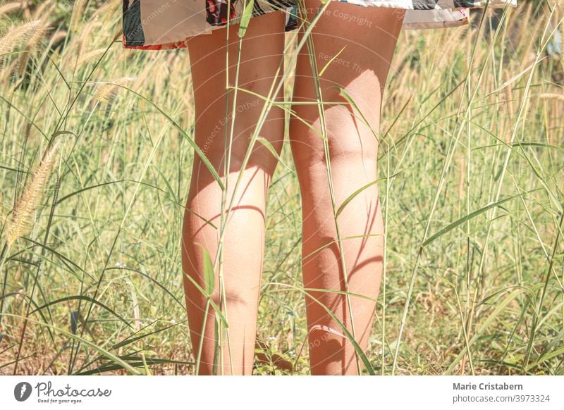 Low section of a woman standing among the swaying grasses showing concept of summer and spring mindfulness back to nature delicate dainty sexy legs girl dress