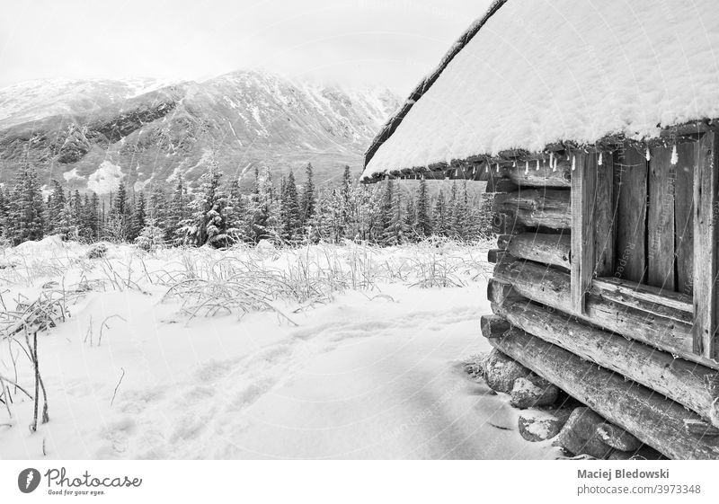 Black and white picture of wooden hut in mountains during snowy winter. landscape black shelter snowfall Tatra valley scenic Dolina Gasienicowa frost cold