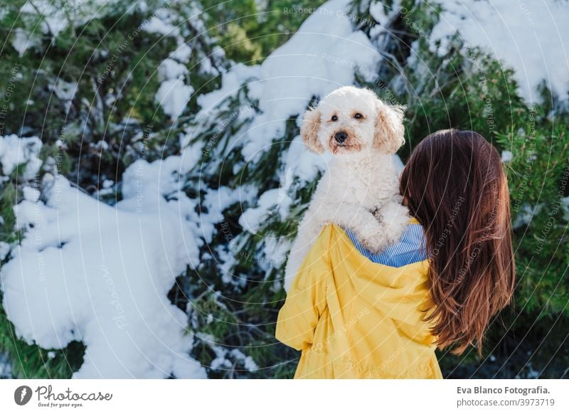 backpacker woman hiking outdoors with cute poodle dog. Holding dog on shoulder. Snowy mountain in winter season. nature, pets and lifestyle snow yellow coat
