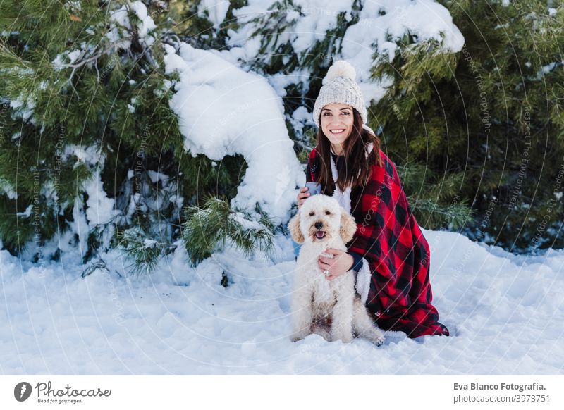 beautiful woman in snowy mountain Holding cute poodle dog in arms wrapped in plaid blanket. winter season. nature and pets travel owner love together back view