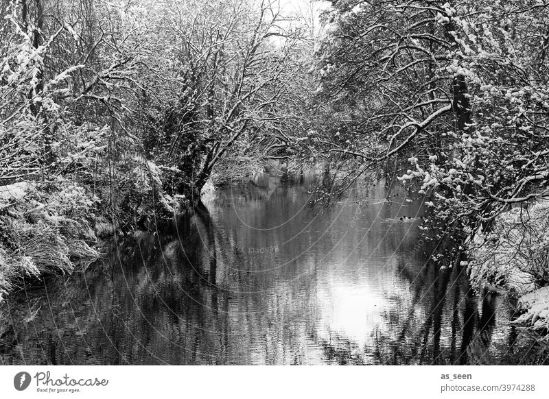 winter wonderland Winter River Black & white photo Black and white photography Snow Cold Tree Landscape Exterior shot Nature Day White Deserted Environment