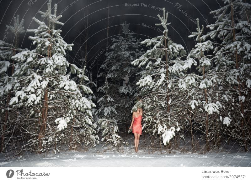 It’s still cold outside and these woods are covered with white snow. Nevertheless, this gorgeous female model doesn’t care if it’s a blizzard out there. Bare feet and barely dressed (with pink skirt only) girl is enjoying the feeling of winter.