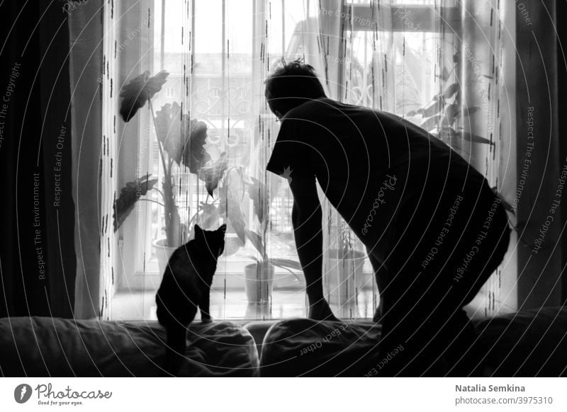 Black and white photo. Dark silhouettes of man and cat which are standing in similar postures on couch and looking out the window. pet Silhouette Shadow indoor